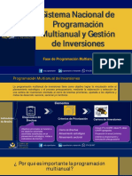 Programación Multianual y Gestión de Inversiones - 2