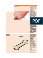 Aporte Colaborativo