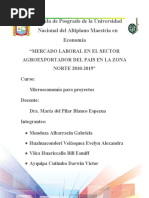 Mercado Laboral en El Sector Agroexportador Del Pais en La Zona Norte 2010-2019