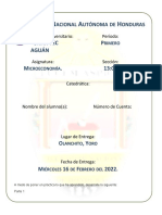 Microeconomia - Tarea Practica 6hoy