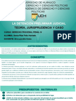 La-Detención-Preliminar Judicial-Teoría-y-caso Práctico