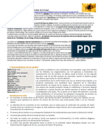 Texto Expositivo Qué No Deberías Matar A Las Arañas de Tu Hogar