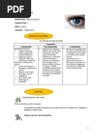 Guia Didactica 12° #4