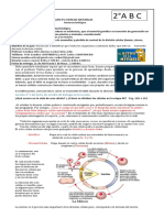 GUIA N°2 SEGUNDOS MEDIOS Revision