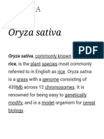 Oryza Sativa, Commonly Known As Asian