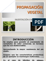 Propagación Vegetal Injertos