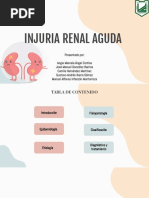 Injuria Renal Aguda