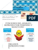 PPT Organos Reproductores 1