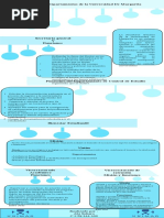 Infografia Induccion Ftststs