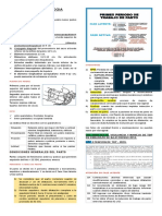 TOCOLOGIA Y TDP - Resumen de La GPC