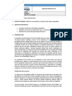 Guía de Práctica de Anatomía Sistema Oseo