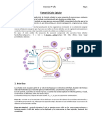 Tema #2 Ciclo Celular y Cáncer