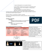 Aula 01 - Aspectos Radiográficos Das Anomalias Dentárias