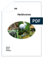 Animales Herbivoros