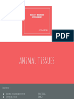 Biology Animal Tissues