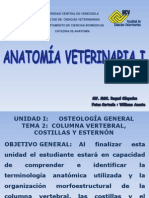 Columna Vertebral, Costillas y Ester Non PDF