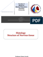 11 - Histology Lecture - Structure of Nervous Tissue