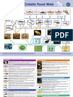 Lake Ontario Food Web