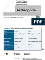 Aula 3 - Filo Arthropoda