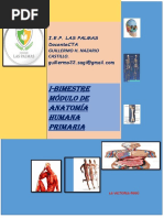 2022 Módulo de Anatomía Humana-Primaria