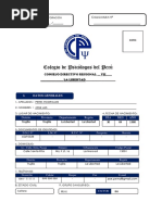 Formato 1 (Ejemplo)