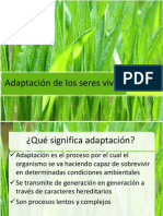 Adaptaciones de Los Seres Vivos 3°H