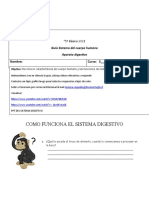 Guia Sistema Digestivo 5° Basico LRT