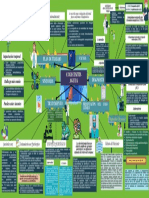 MAPA MENTAL, Colecistitis Aguda - HFC