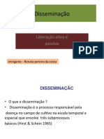 Seminario Disseminação