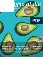 InfoAgro Al Día 074 Palta