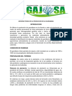 Asesoria Tecnica en La Produccion de La Guanabana