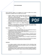 Breve Cronología de La Musicoterapia