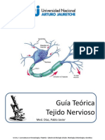 Tejido Nervioso Histología, Kinesiología