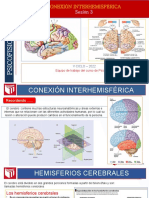 3 Conexión Interhemisférica