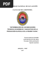 Indicadores Técnicos y Económicos en La Producción Del Olivo en Tacna