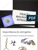 Fixacao Biologica Do Nitrogenio