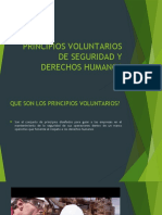 1-Principios Voluntarios de Seguridad y Derechos Humanos