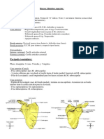 Osteología EE - SS.