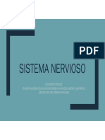 Sistema Nervioso Primera Parte