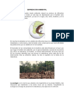 Depredacion Ambiental