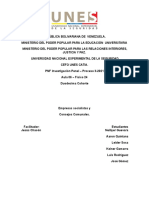 Empresas Solialista. Consejos Comunales-1