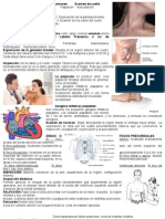 Examen de Cuello