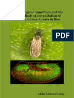 Morphological Transitions and The Genetic Basis of The Evolution of Extraembryonic Tissues in Flies