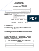 Evaluación de Lenguaje Acentuación de Palabras Prueba Diferenciada 4° Básico