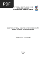 Memoria Huella de Carbono Collahuasi Pablo Cadiu Ubilla