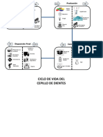 Ciclo Del Cepillo de Dientes