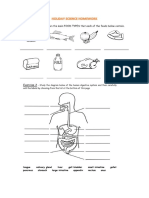 Grade 7 Science Revision Homework