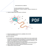 Tarea Bases Biologicas de La Conducta