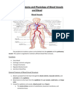 Review of Anatomy and Physiology of Blood Vessels and Blood