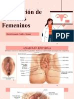 Aparato Genital Femenino